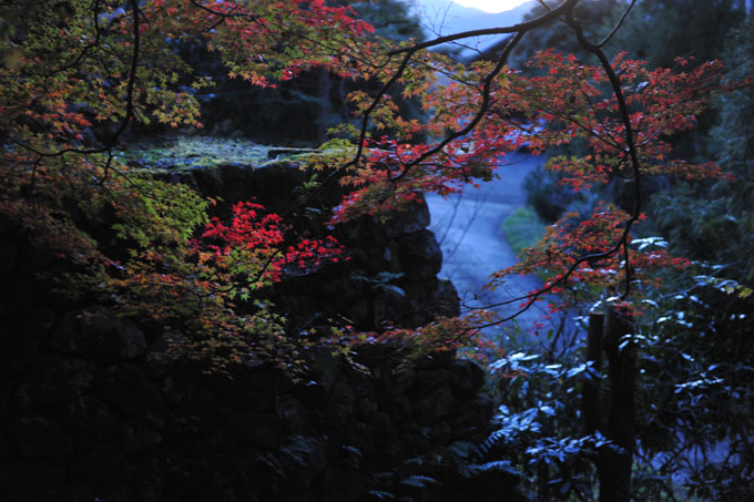 DSC_1931_Kyoto_Ohara