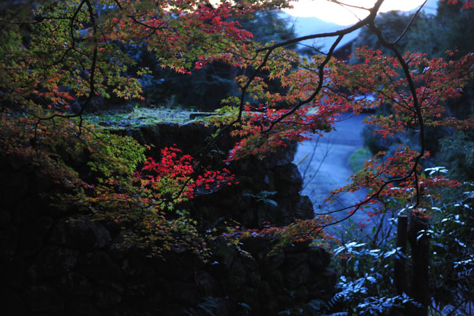 DSC_1932_Kyoto_Ohara