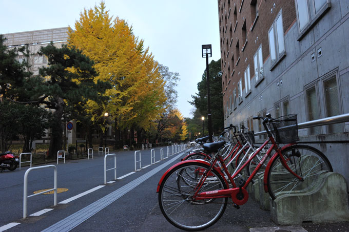 DSC_2024_Kyoto_KyotoUniversity