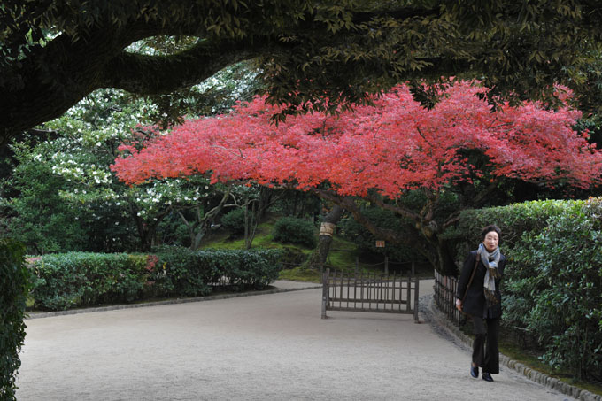 DSC_2053_Okayama_Korakuen