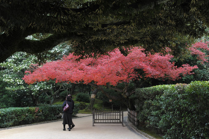 DSC_2057_Okayama_Korakuen