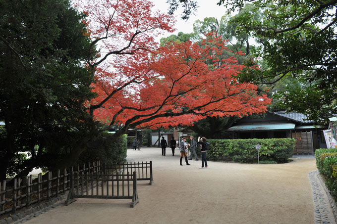 DSC_2059_Okayama_Korakuen