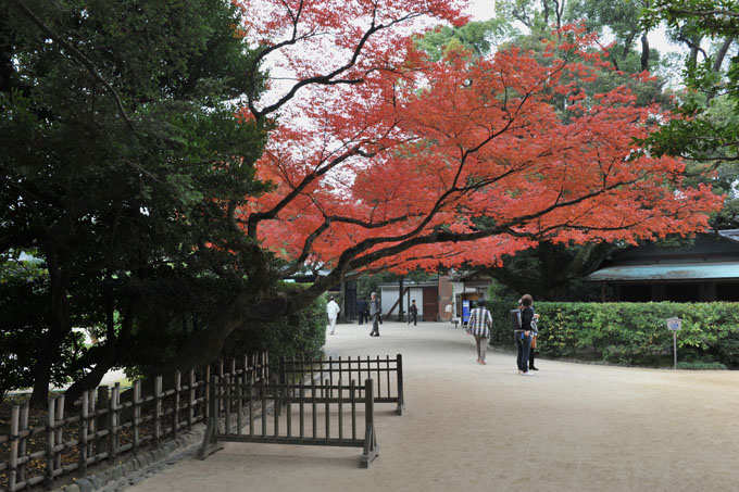 DSC_2060_Okayama_Korakuen