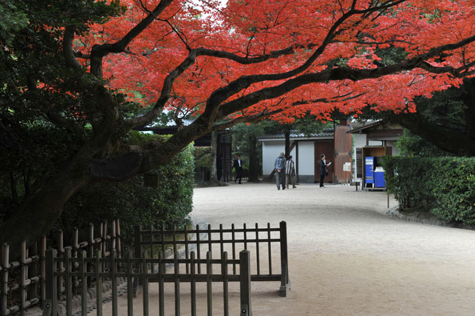 DSC_2062_Okayama_Korakuen
