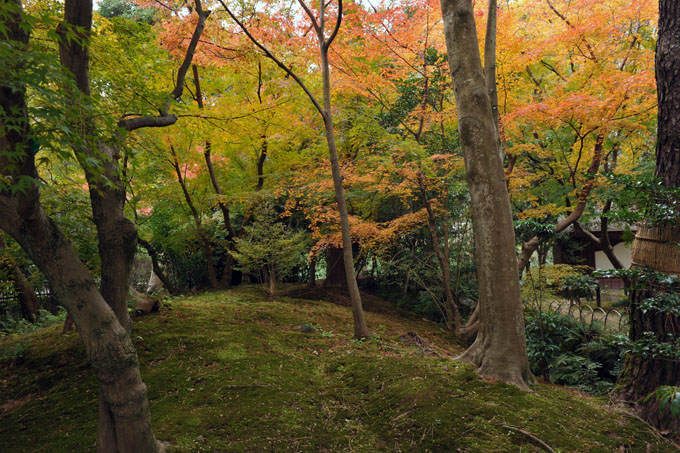 DSC_2071_Okayama_Korakuen