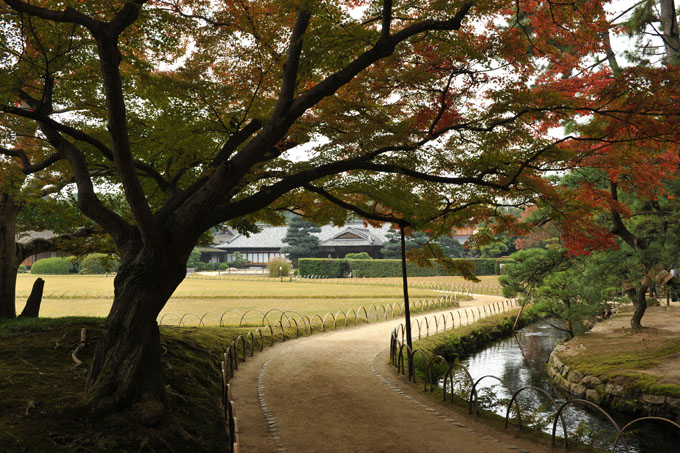 DSC_2081_Okayama_Korakuen