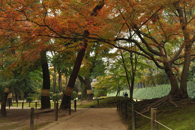 DSC_2096_Okayama_Korakuen