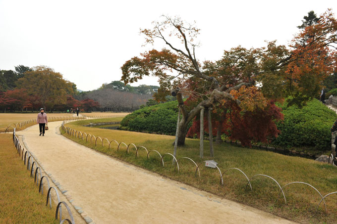 DSC_2111_Okayama_Korakuen