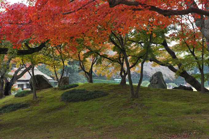 DSC_2170_Okayama_Korakuen