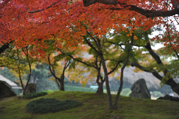DSC_2174_Okayama_Korakuen