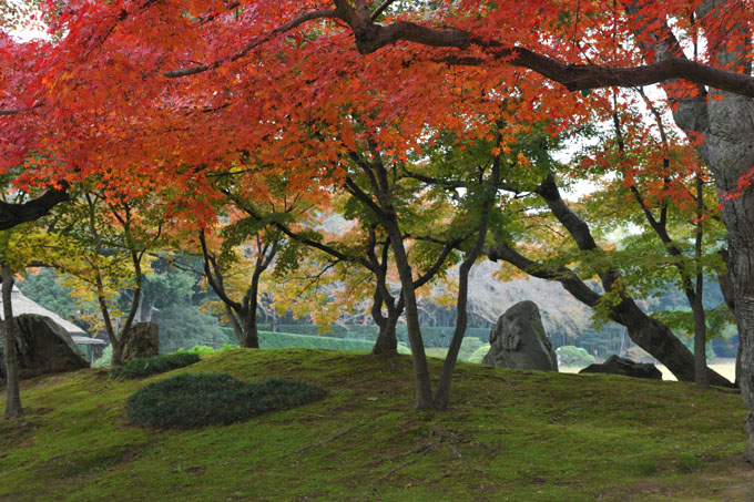 DSC_2180_Okayama_Korakuen