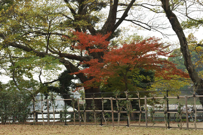 DSC_2224_Okayama_Korakuen