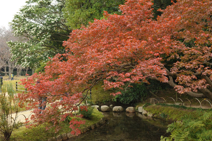 DSC_2234_Okayama_Korakuen