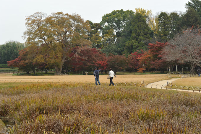 DSC_2238_Okayama_Korakuen