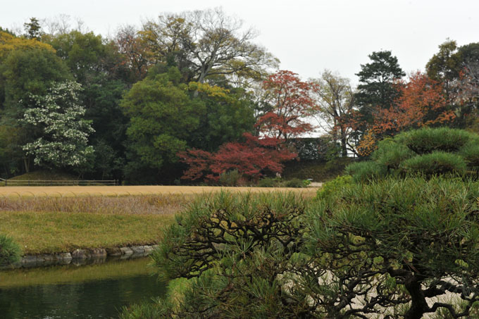 DSC_2245_Okayama_Korakuen
