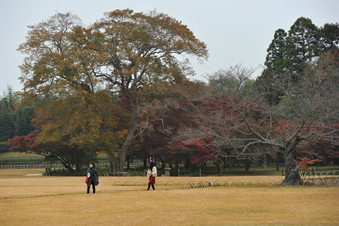 DSC_2312_Okayama_Korakuen