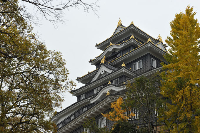 DSC_2330_Okayama_Okayama-jo