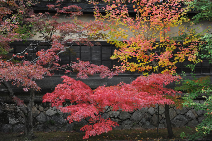 DSC_2438_Kurashiki
