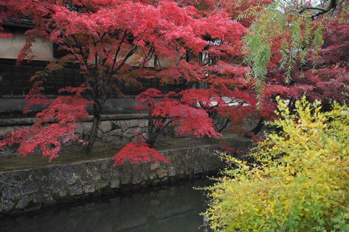 DSC_2439_Kurashiki