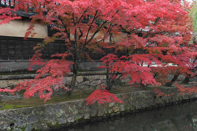 DSC_2442_Kurashiki