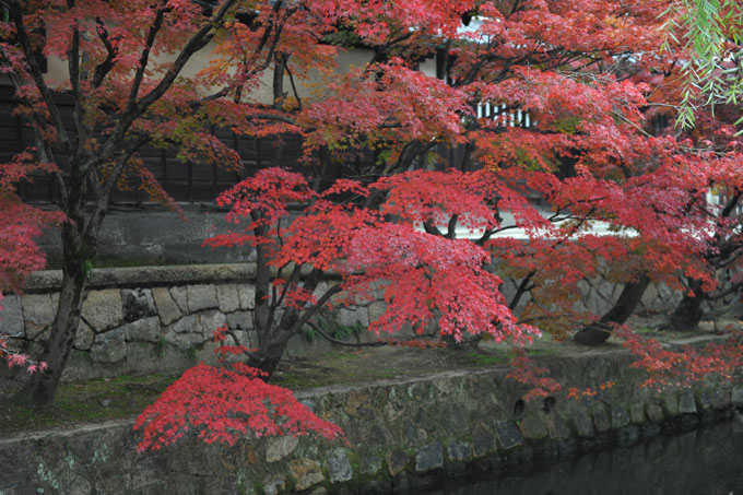 DSC_2445_Kurashiki