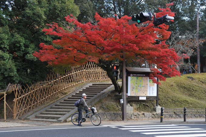 DSC_2645_Nara