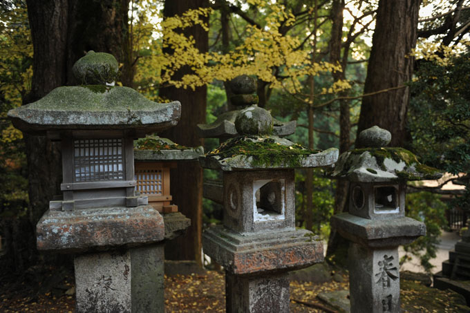 DSC_2715_Nara