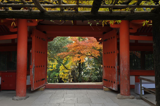 DSC_2724_Nara