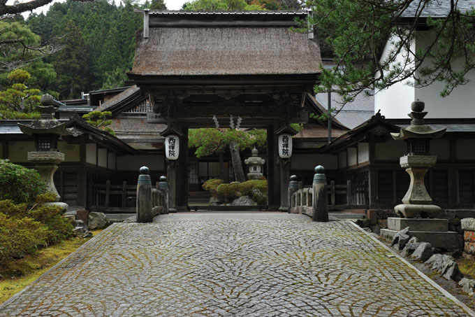 DSC_2863_Koyasan