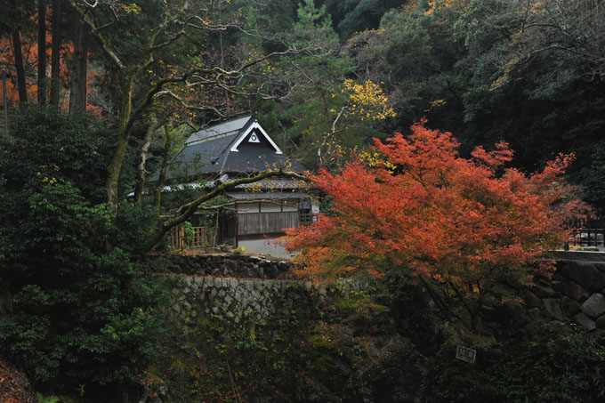 DSC_3105_Osaka_MinoPark