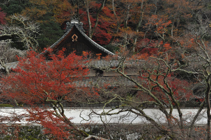 DSC_3169_Osaka_MinoPark