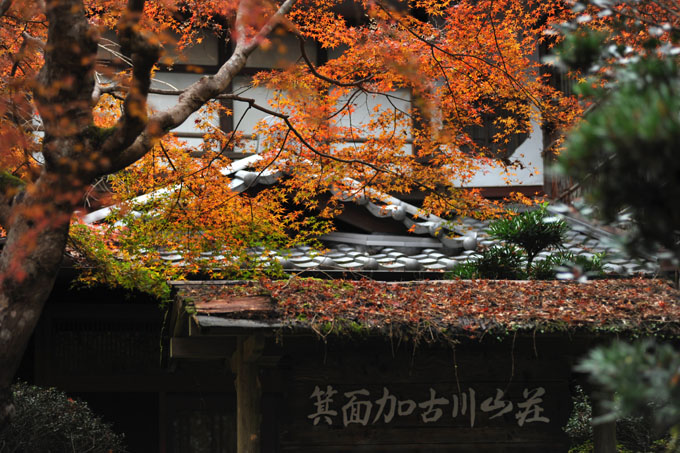 DSC_3212_Osaka_MinoPark