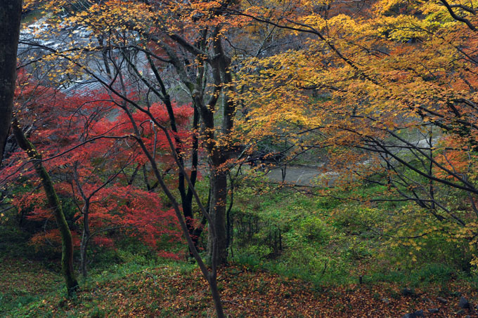 DSC_3339_Sakurai_TanzanJinja