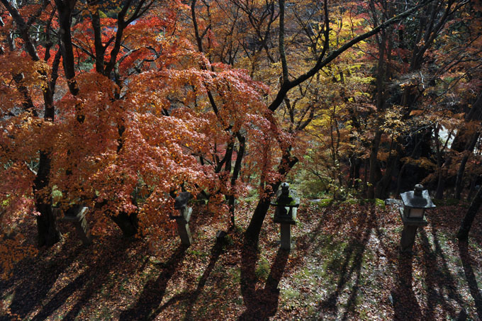 DSC_3369_Sakurai_TanzanJinja