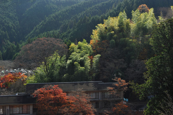 DSC_3386_Sakurai_TanzanJinja