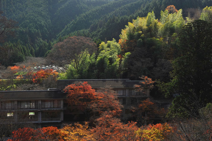 DSC_3389_Sakurai_TanzanJinja