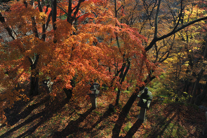 DSC_3401_Sakurai_TanzanJinja