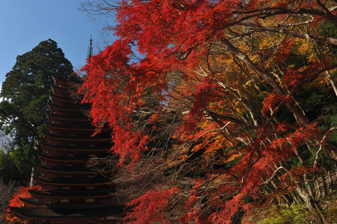DSC_3408_Sakurai_TanzanJinja