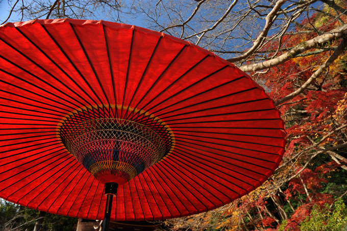 DSC_3410_Sakurai_TanzanJinja