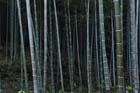 DSC_0091_Kyoto_Tenryuji