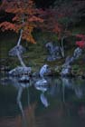 DSC_0123_Kyoto_Tenryuji
