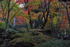 DSC_0156_Kyoto_Jojakkoji
