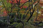 DSC_0159_Kyoto_Jojakkoji