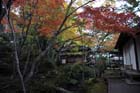DSC_0193_Kyoto_Jojakkoji