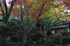 DSC_0198_Kyoto_Jojakkoji