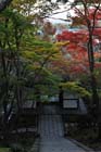 DSC_0206_Kyoto_Jojakkoji