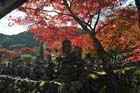 DSC_0490_Kyoto_Nenbutsu-ji