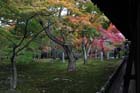 DSC_0648_Kyoto_Tofukuji