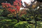 DSC_0680_Kyoto_Tofukuji