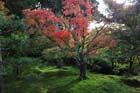 DSC_0683_Kyoto_Tofukuji